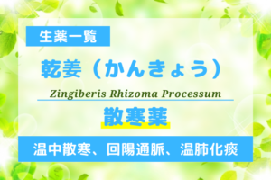 乾姜（かんきょう）