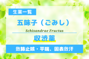 五味子（ごみし）