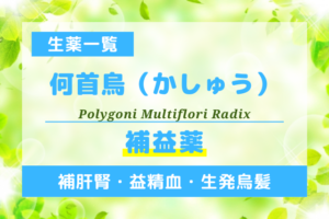 何首烏（かしゅう）