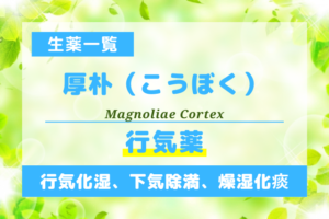 厚朴（こうぼく）