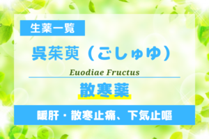 呉茱萸（ごしゅゆ）