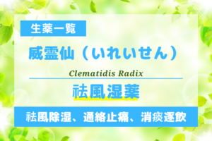 威霊仙（いれいせん）