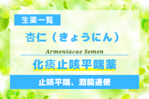 杏仁（きょうにん）