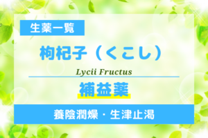 枸杞子（くこし）