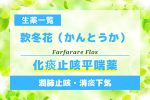 款冬花（かんとうか）