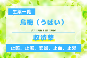烏梅（うばい）