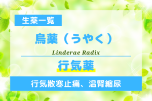 烏薬（うやく）