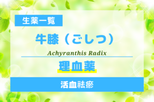 牛膝（ごしつ）