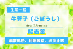 牛蒡子（ごぼうし）