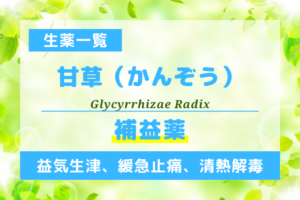 甘草（かんぞう）