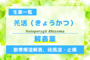 羌活（きょうかつ）