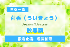 茴香（ういきょう）