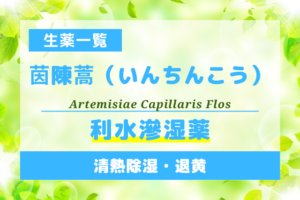 茵陳蒿（いんちんこう）