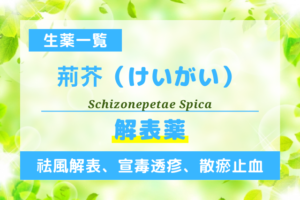 荊芥（けいがい）