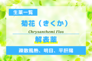 菊花（きくか）