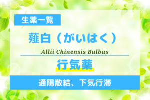 薤白（がいはく）