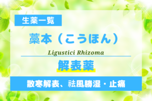 藁本（こうほん）