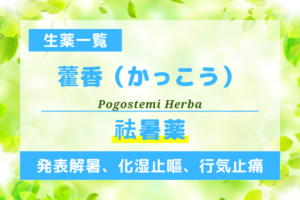 藿香（かっこう）