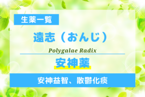 遠志（おんじ）