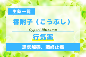 香附子（こうぶし）