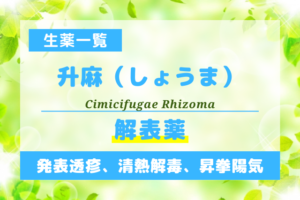 升麻（しょうま）