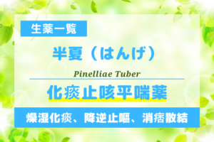 半夏（はんげ）
