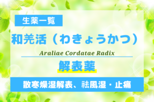 和羌活（わきょうかつ）