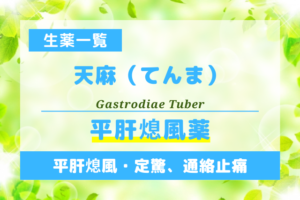 天麻（てんま）