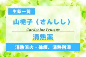山梔子（さんしし）