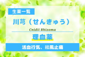 川芎（せんきゅう）