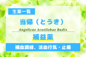 当帰（とうき）