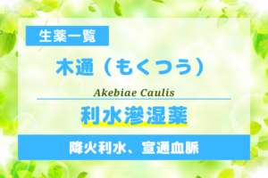 木通（もくつう）