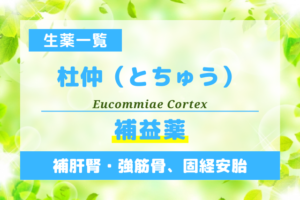 杜仲（とちゅう）