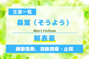 桑葉（そうよう）