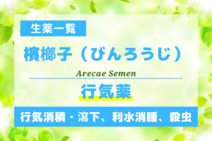 檳榔子（びんろうじ）