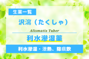 沢瀉（たくしゃ）