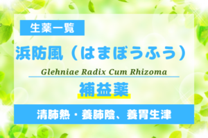 浜防風（はまぼうふう）