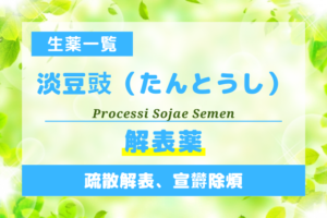 淡豆豉（たんとうし）