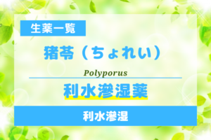 猪苓（ちょれい）