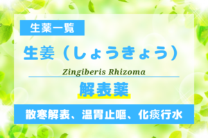 生姜（しょうきょう）
