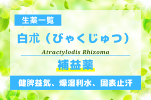 白朮（びゃくじゅつ）