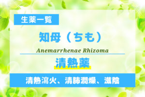 知母（ちも）