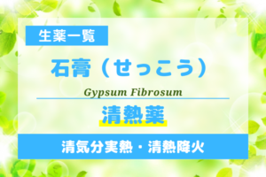 石膏（せっこう）