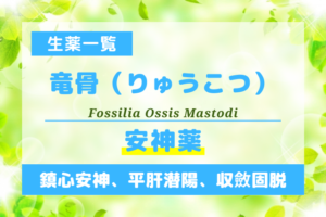 竜骨（りゅうこつ）