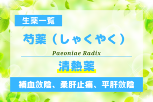 芍薬（しゃくやく）