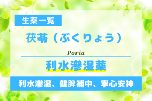 茯苓（ぶくりょう）