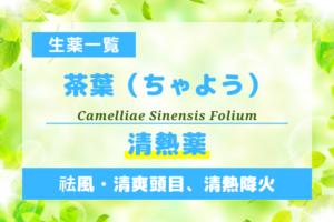 茶葉（ちゃよう）
