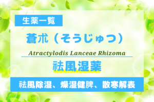蒼朮（そうじゅつ）