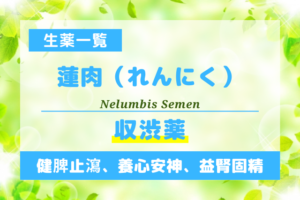 蓮肉（れんにく）