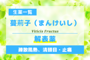 蔓荊子（まんけいし）